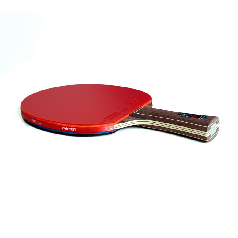 Lemuria EBENHOLZ-卓球ラケット、ピンプルズイ - Table Tennis Forehand Rubber のレビューと価格